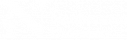 Northeastern-University-Logo-White.png